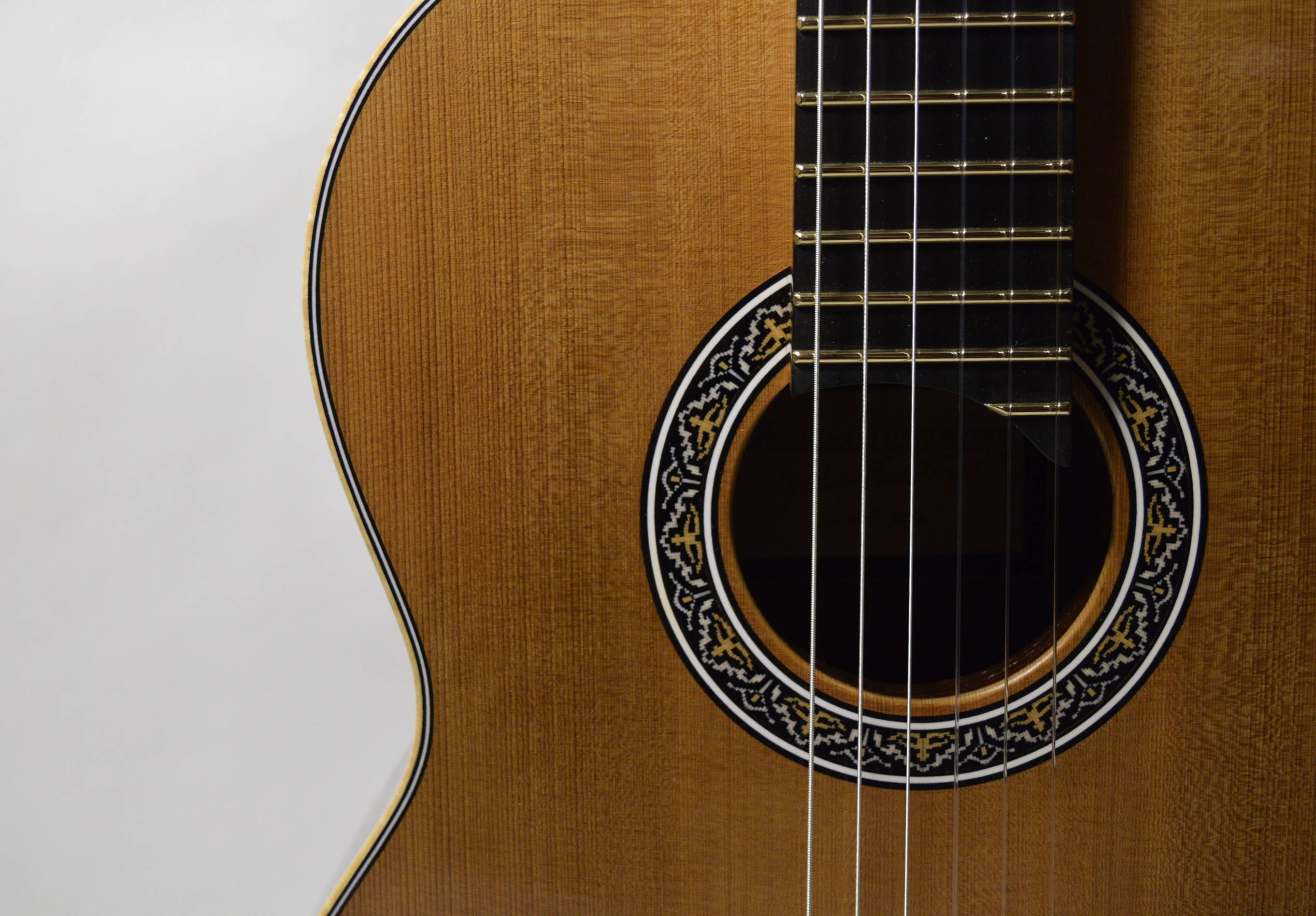 An elegant and sophisticated rosette design for my main model