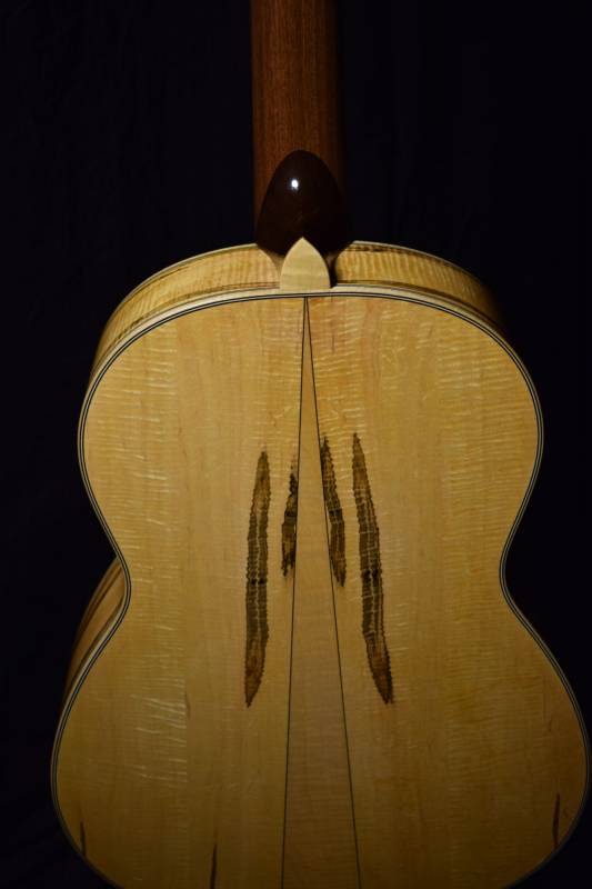 Ambrosia Maple Back and Sides with a black walnut neck