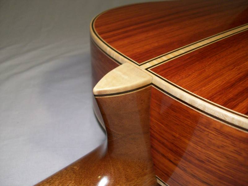 Tiger Maple Binding
