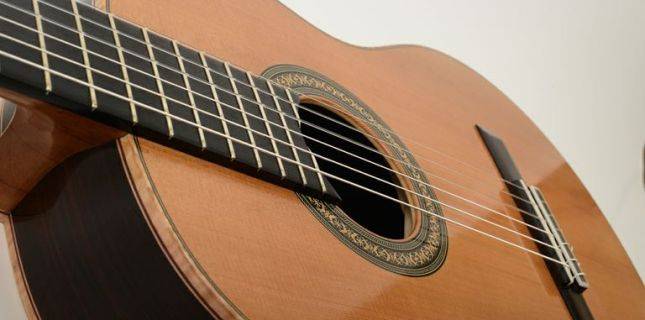 Radiused Fingerboard