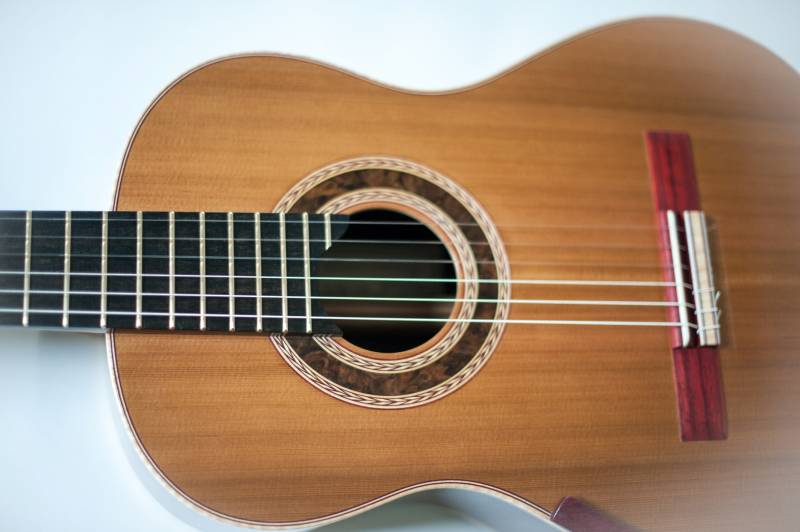 Black Walnut Burl Rosette
