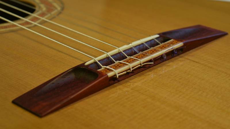 Padauk Bridge