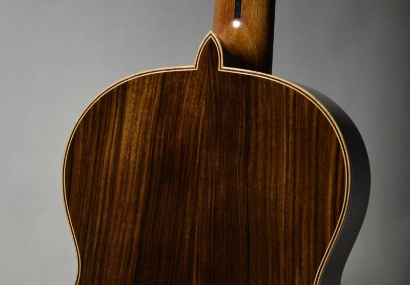 Indian Rosewood Back and Sides