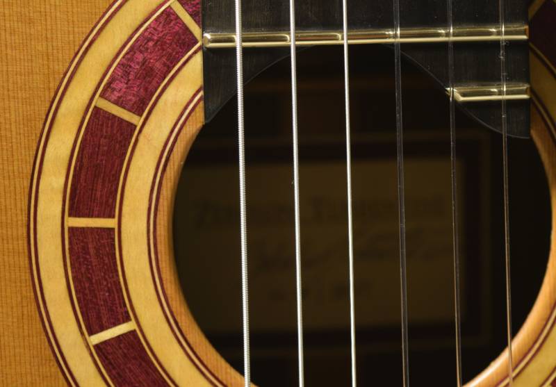 Back to the old rosette for one more guitar?