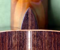 Maple Binding and Backstripe