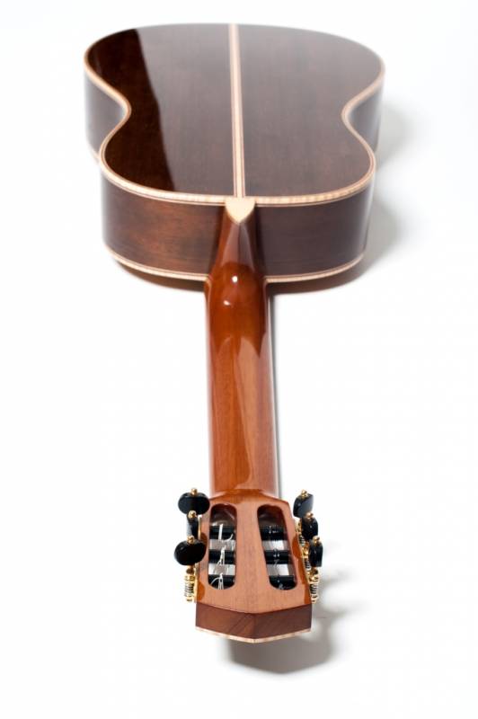 African Mahogany Neck