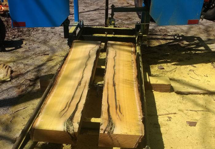 Good enough for the guitar sides