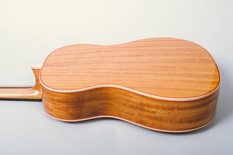Spanish Cedar Neck