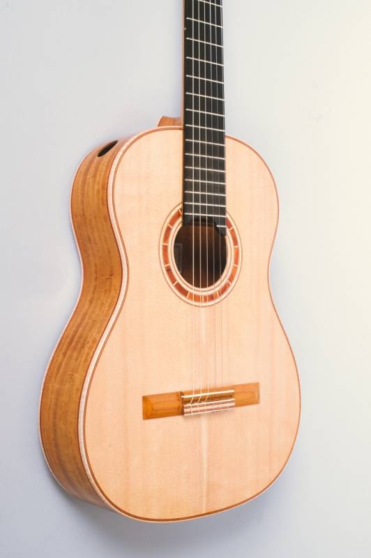 Mosquito Wood Back and Sides?