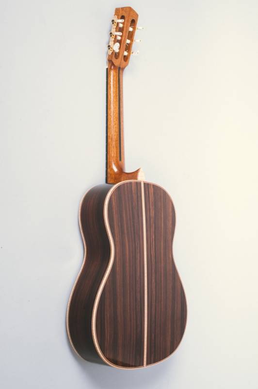 Ebony Neck Reinforcement