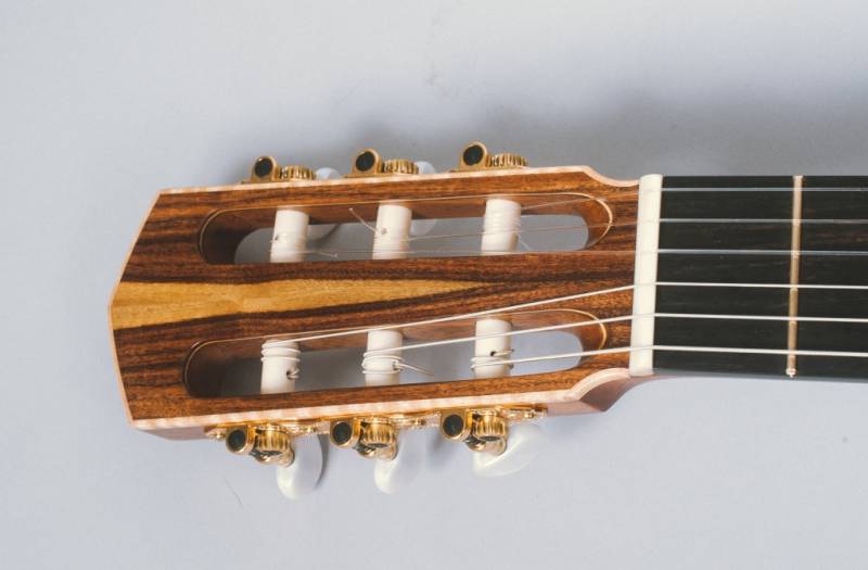 Amazon Rosewood Headplate