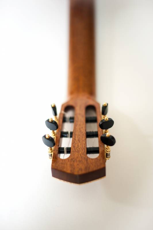 African Mahogany Neck