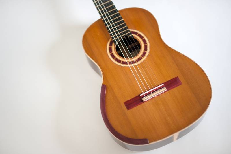 Gold Evo Jumbo Frets