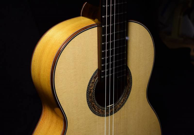 Osage Orange / Lutz Spruce