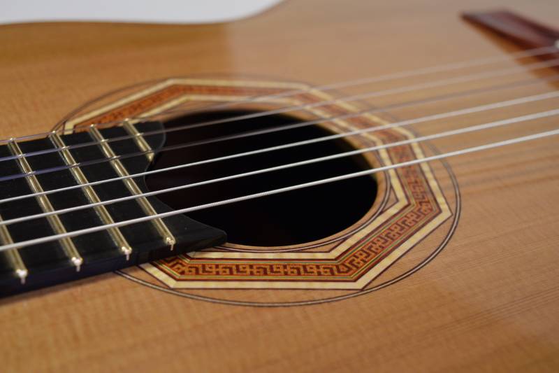 Burgundy, Teal and Gold Veneers with Maple and Purple Heart