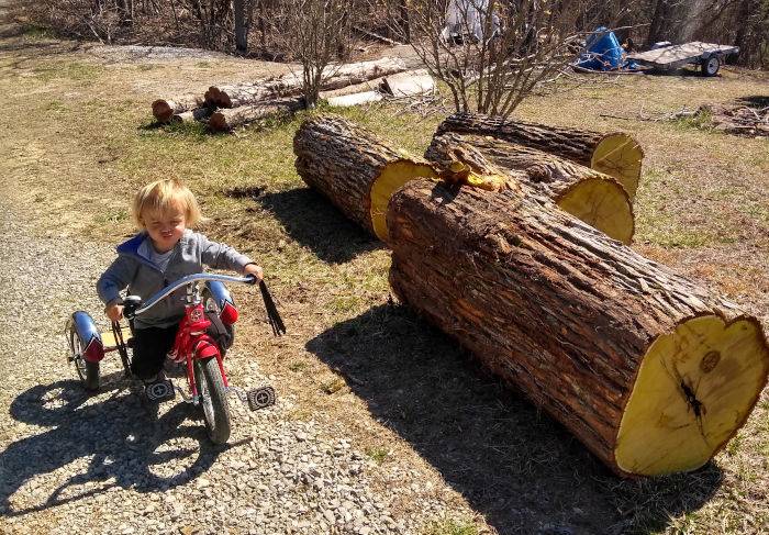 My son inspects the logs whilst riding his tricycle