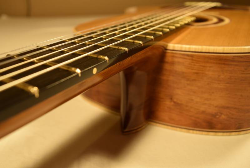 African Mahogany Neck