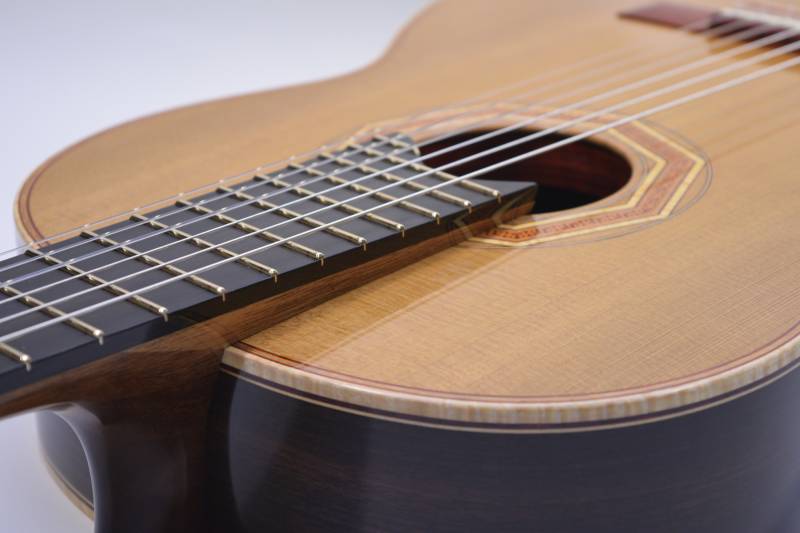 Elevated Fingerboard