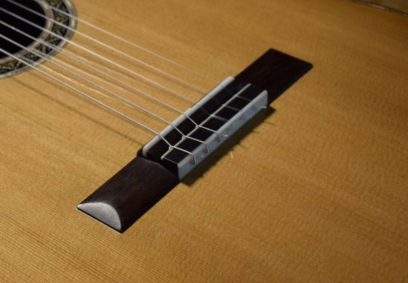 Wenge with a bone reinforced tie block