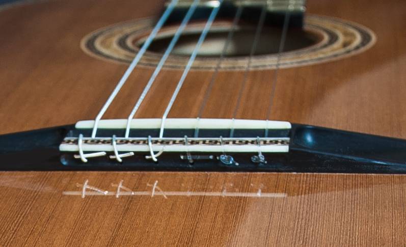 African Blackwood Bridge