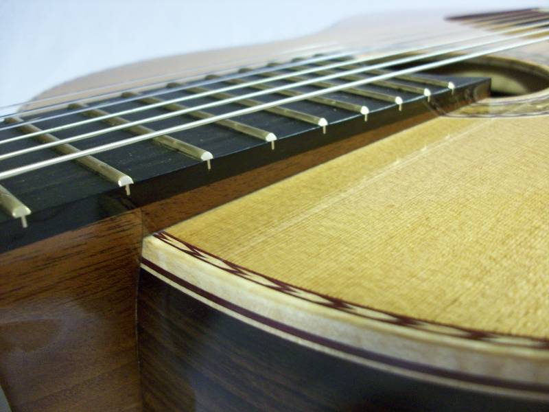 Neck Extension Joint and Top Purfling