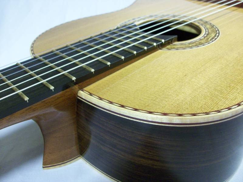 Slight Elevation in the Fingerboard