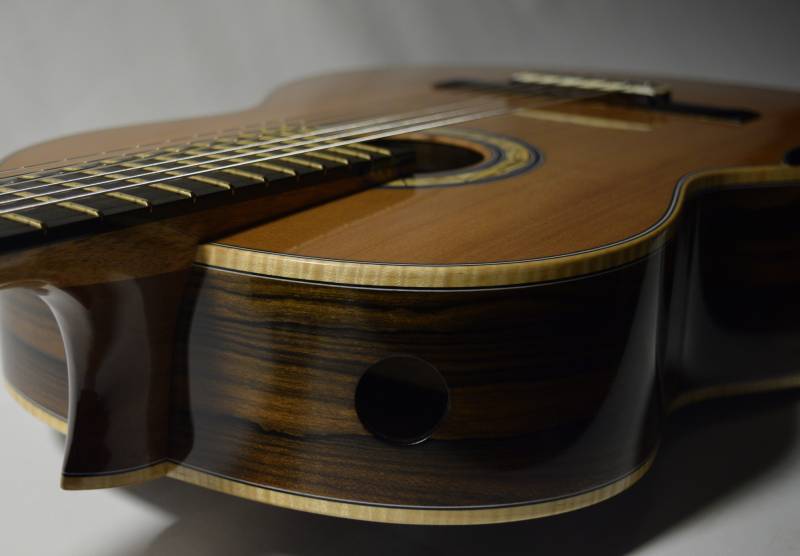 Elevated Fingerboard