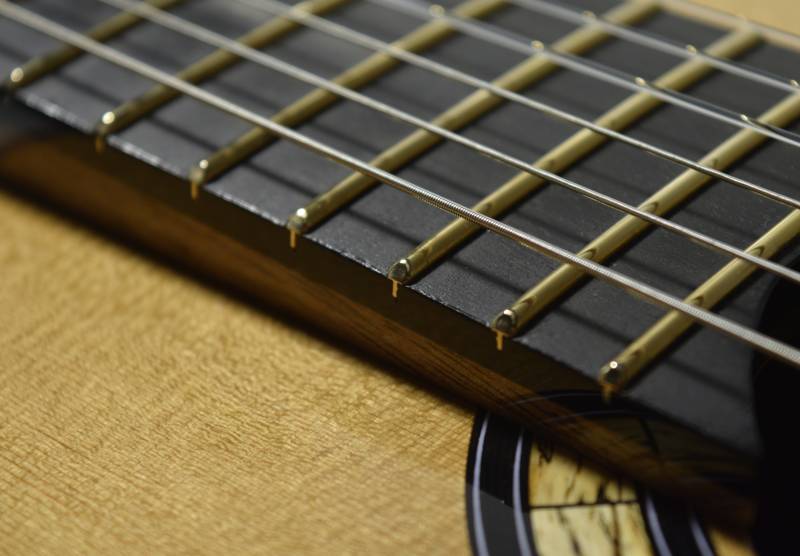 Gold Evo Frets