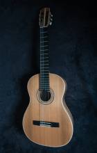 "The Zebra" -  No. 25