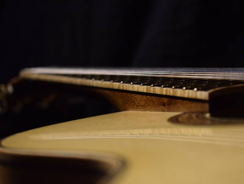 Elevated Fingerboard bound in figured maple and fretted with Gold Evo