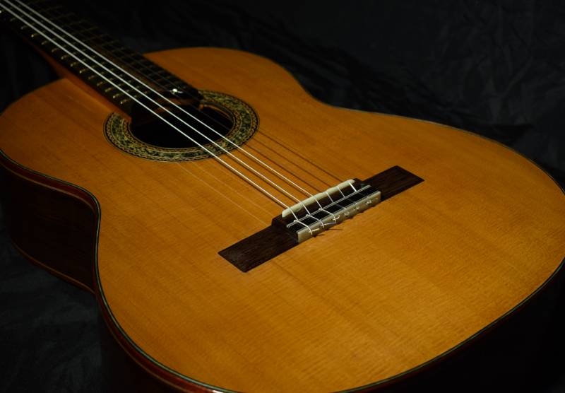 Western red cedar