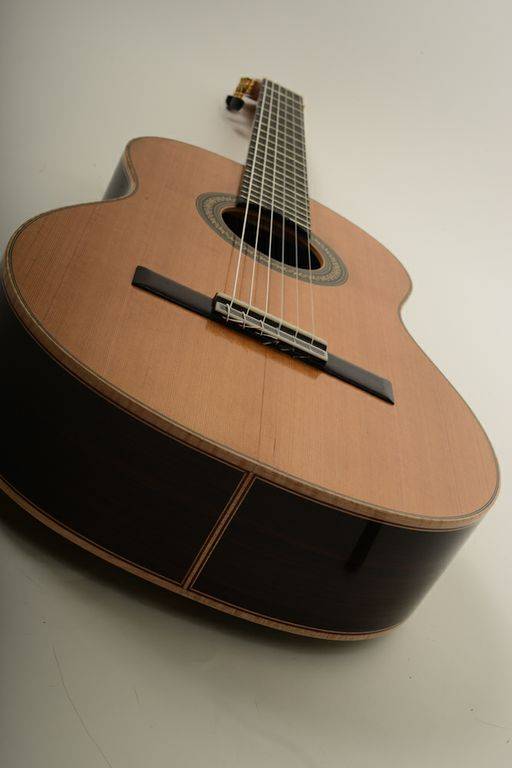 Scale Length = 650mm