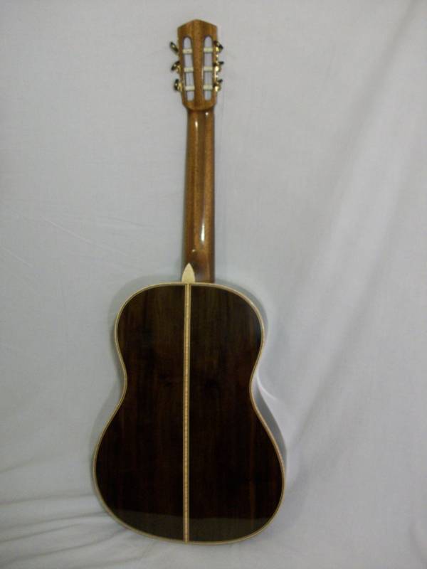 Brazilian Rosewood Back and Sides
