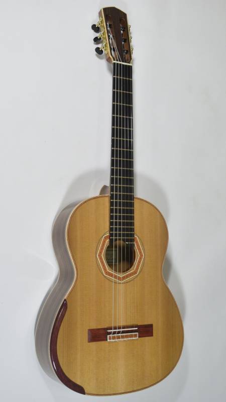 Guitar No. 38