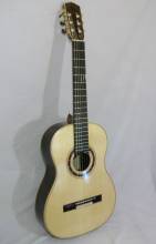 Guitar No. 16