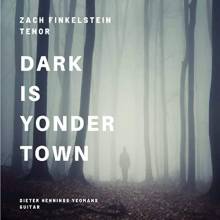 Zach Finkelstein, Tenor & Dieter Hennings Guitar