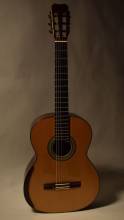 Simon Marty Guitar for Sale
