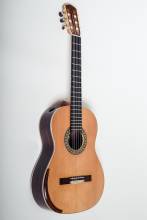 Guitar No. 5