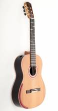 Guitar No. 14