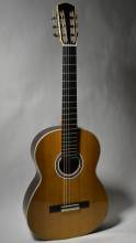 Guitar No. 59