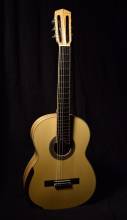 Guitar No. 67