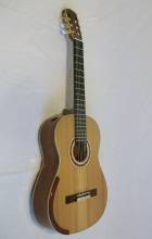 Guitar No. 17