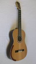 Guitar No. 18