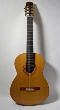 Guitar No. 40