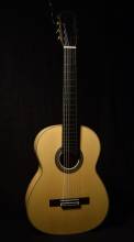 Guitar No. 65