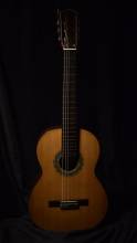 Guitar No. 87