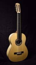 Ambrosia Maple Guitar
