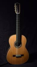 Guitar no. 60