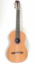 Guitar No. 7
