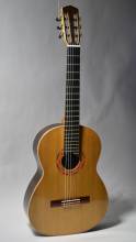 Guitar No. 47